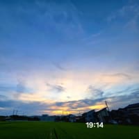 ６月25日水曜日、雨も降るが曇り空