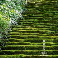 久しぶりの鎌倉。