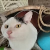 目を疑った朝、、、5月10日