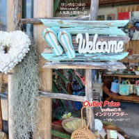 雑貨市場は土曜日と日曜日もオープン☆藤の花の香りに癒されて(ㅅ˃̶͈ᴗ˂̶͈⑅)Нαρργஐ:*ஐ