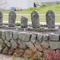 愛媛県東温市、吉久「吉久集会所・吉久のイブキビャクシン」（市指定）です！！