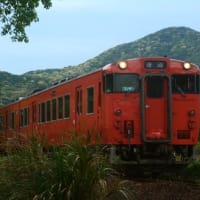山陰本線キハ40系　木立から姿を現す　2025-05-03
