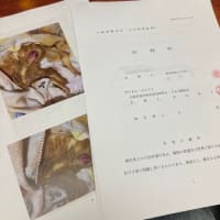幸村くん遺棄虐待事件のその後、