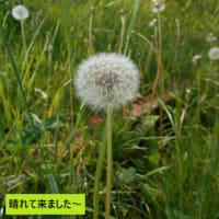 いよいよです！