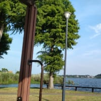 土いじり