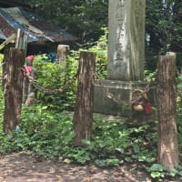 2025/7/9(水)　高尾山・城山　個人山行