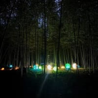 里山のちから　会報7月号