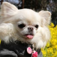 ありがとうの日💛