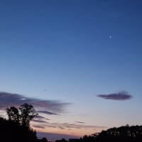 朝空