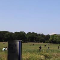GWの昭和記念公園