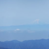 半月山展望台からの眺望 2024.4.26