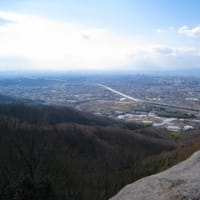 リハビリ山登り