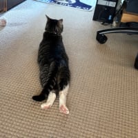 暑かった～