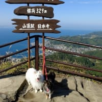 みんなで鋸山