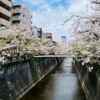 春学期もスタート🌸