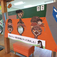 エミューに会いに菊池まで～熊本県菊池エミュー観光牧場