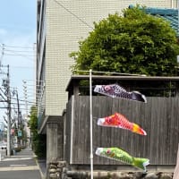 こねこ展最終日(^^)