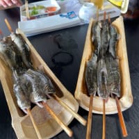 アユがとても美味しかった！！