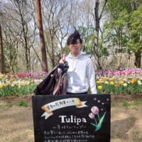 武蔵丘陵森林公園
