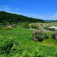 広い大地（7/1）