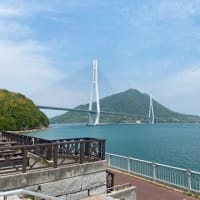 初夏の広島（生口島編）