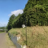 刈りのシーズンですなぁ(´・ω・｀)