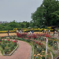 鶴見緑地公園