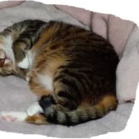 大きくなったじろうちゃん