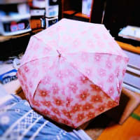 「HEP FIVE」へ→撮影で使う小道具として？桜模様の傘を購入だーい♪