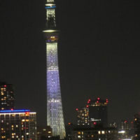 日向坂46の虹開催記念特別ライティング20