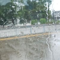 アンパンマン号の車窓