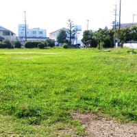 家原大池公園から神野公園