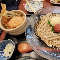 |M3412|巣鴨地蔵通りに入って1～2分の『地蔵蕎麦大橋屋』にお邪魔。生ビ＆みそおでん＆えだまめで開始して、冷やし梅干しそばはパッツンコシのそばが長～い＆ミニ海老天丼もうまかった！