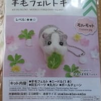 ハンドメイド 羊毛フェルト モルモット 木の実の収穫