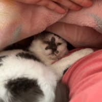ありがとう　のっちゃん