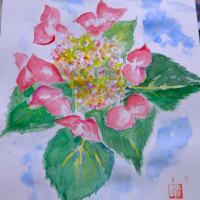スケッチ植物水彩画