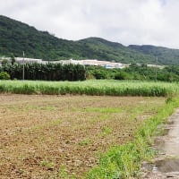 【拡散願います】静まりかえる中で八重山駐屯地を思索する（20240728ー➁）