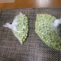 5日間、楽しい旅行でした2！