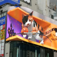 昨日、この