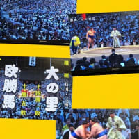 ☆大相撲名古屋場所がはじまりましたね！！！（笑）☆