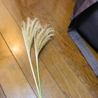 中秋の名月