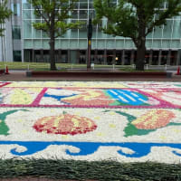 FLOWER  CARPET  2025