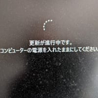ダブル菜園とジムでの16km・・・