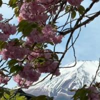 忍野八海