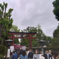 根津神社　つつじまつり