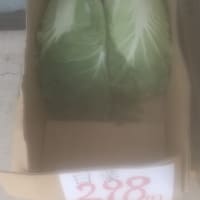 大根７８円　ネギ108円　白菜298円　二乃もっびくりやりすぎセール