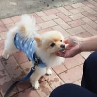 ホッと一息