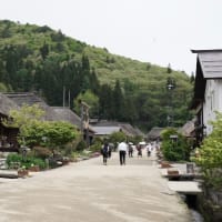 白川湖の水没林　2025
