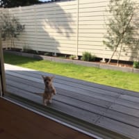 言い聞かせ
