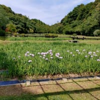 そろそろ投稿を急がなければなりません